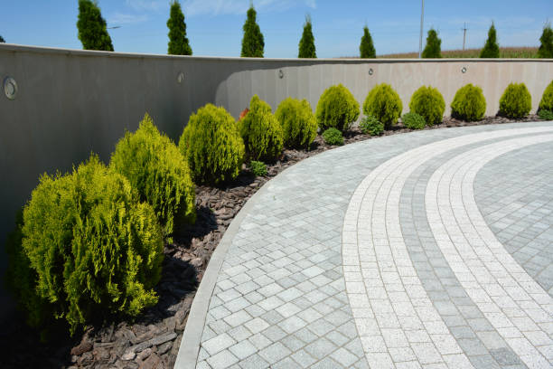 Reasons to Select Us for Your Driveway Paving Requirements in Bridgetown, MS